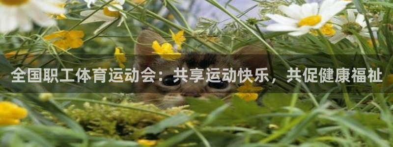 TOP1体育极速版：全国职工体育运动会：共享运动快乐，共促健康福祉