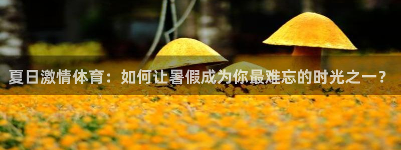 top1体育平台入口地址：夏日激情体育：如何让暑假成为你最难忘的时光之一？