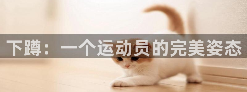 top1体育官网链接：下蹲：一个运动员的完美姿态