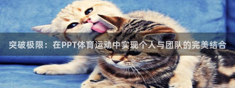 top1体育下载入口：突破极限：在PPT体育运动中实现个人与团队的完美结合